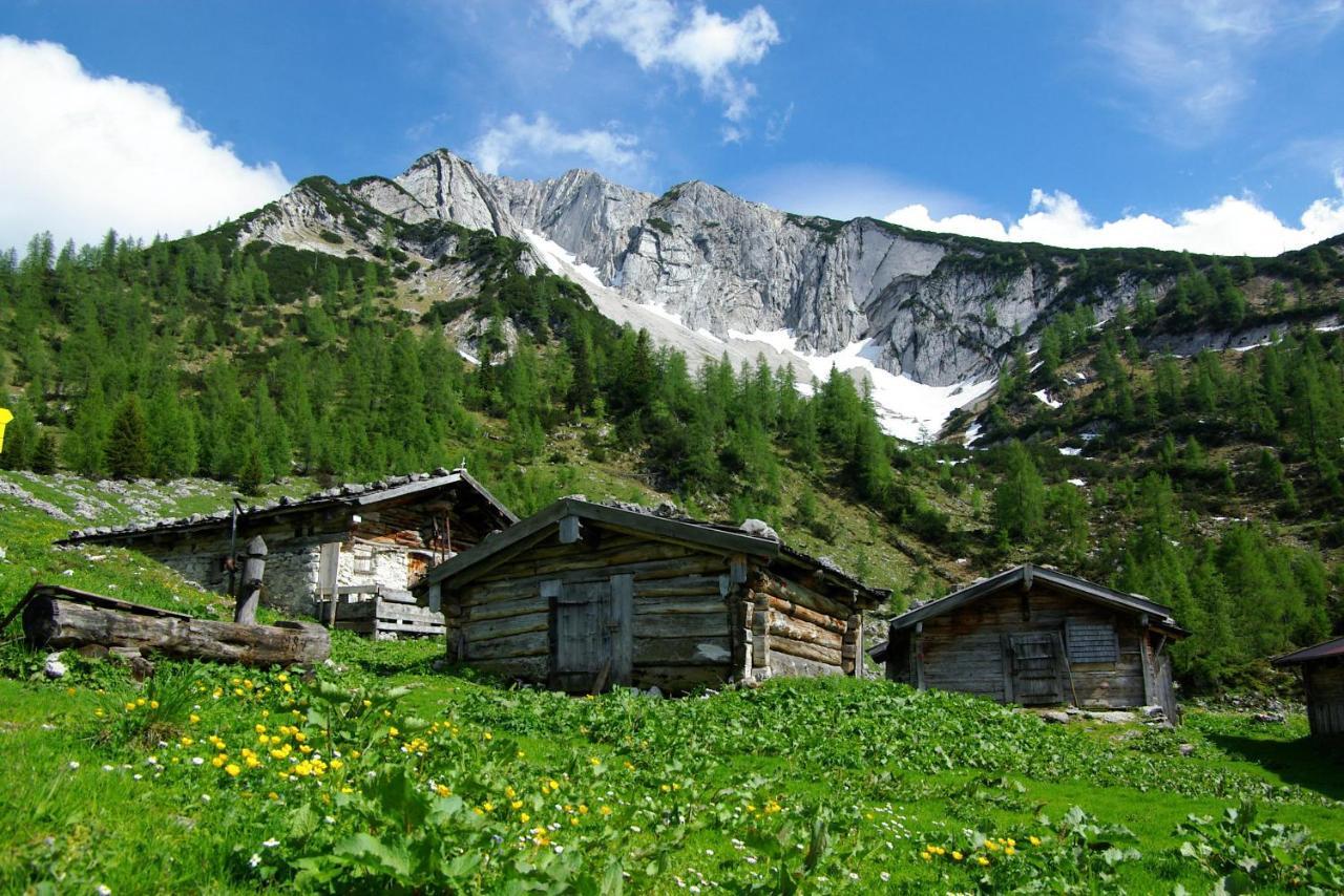 Apartamento Haus Bauer Pertisau Exterior foto